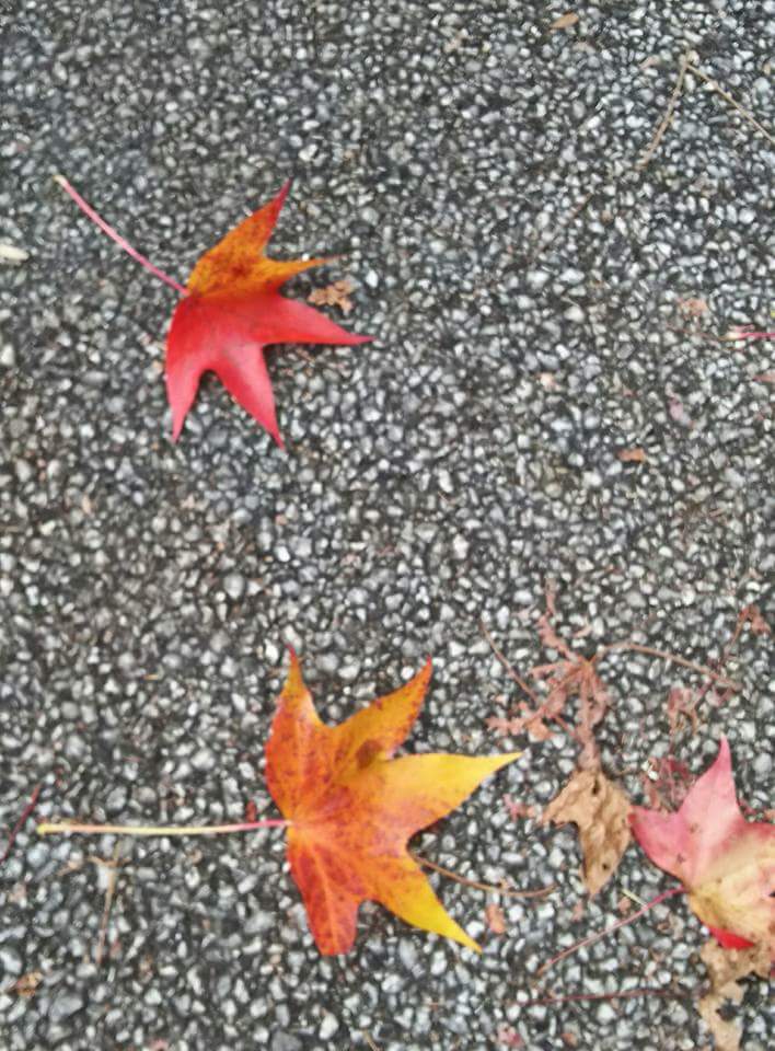 【 荻生徂徠の書 】　杜牧・高適詩 荻生徂徠の書 】 杜牧・高適詩