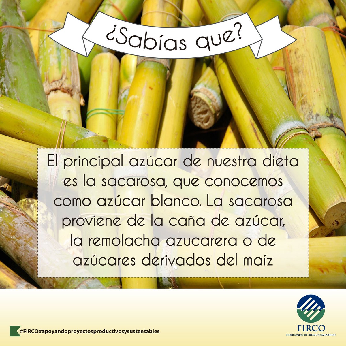 FIRCOoficial's tweet photo. #FIRCO#enapoyodeproyectos#productivosysustentables https://t.co/ysJdQ0Qlcb