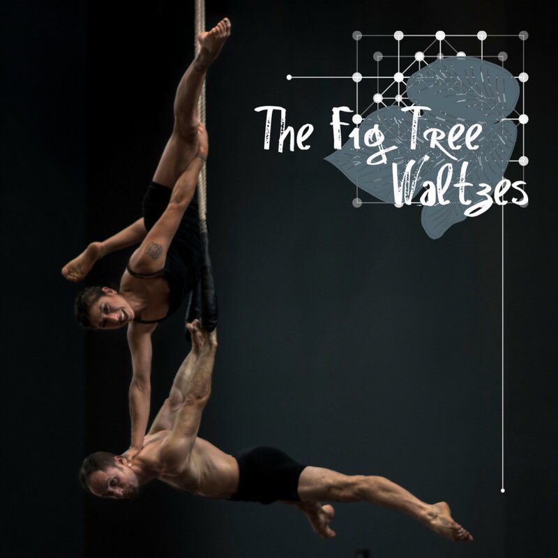 Acrobatic Conundrum tweet media