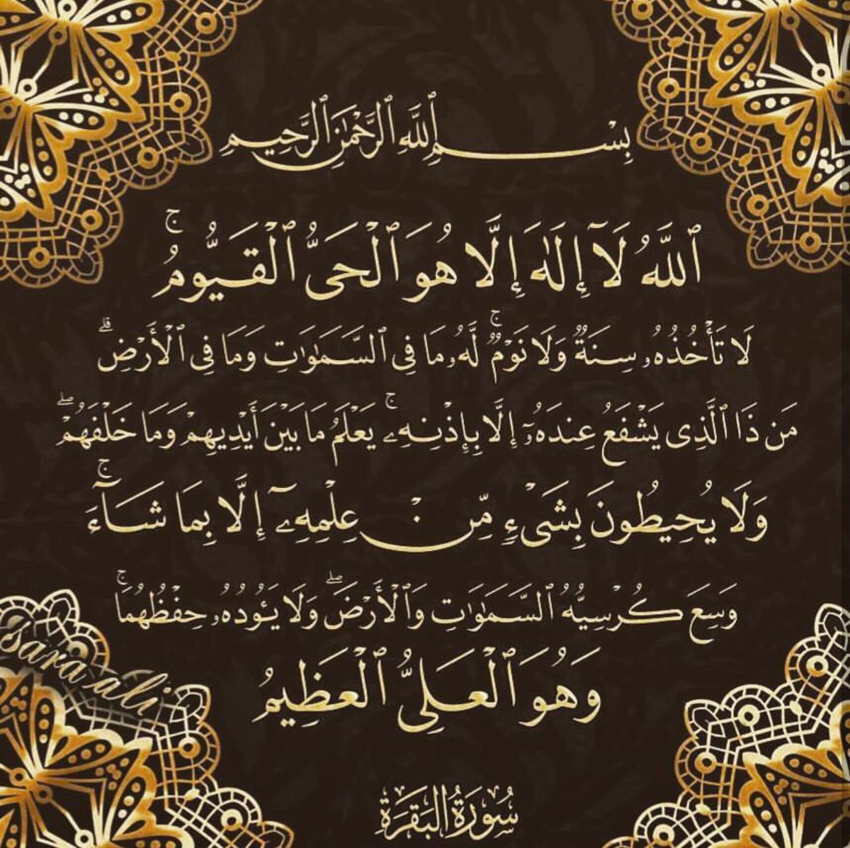Amr tweet media