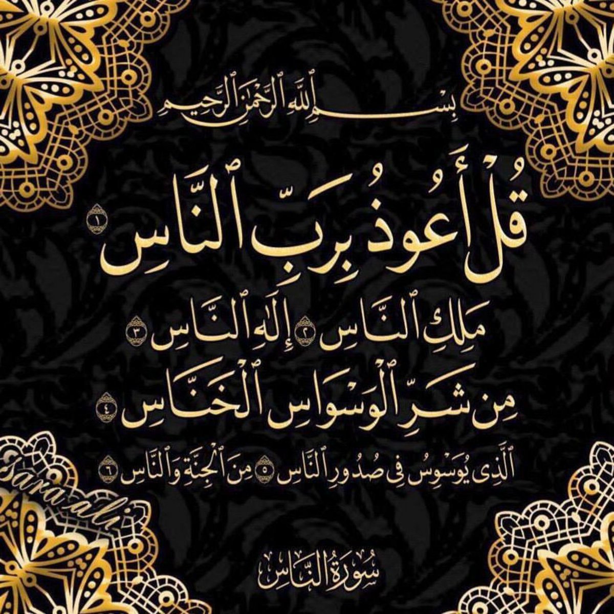 Amr tweet media