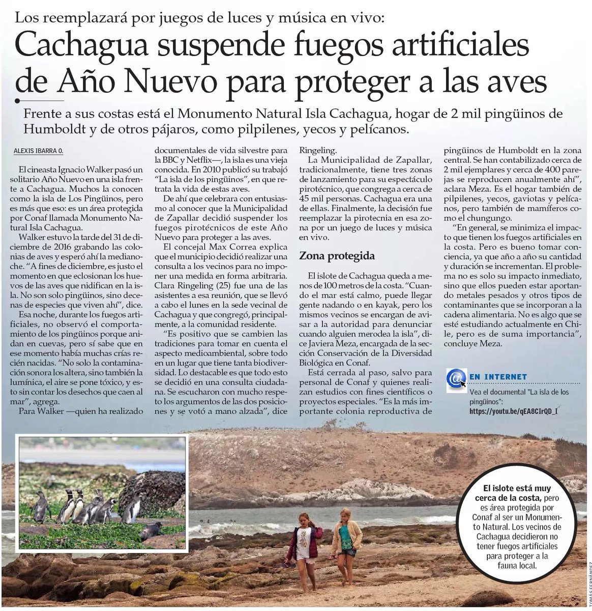 MMAChile's tweet photo. Cachagua suspende fuegos artificiales de Año Nuevo para proteger a las aves. Frente a sus costas está el Monumento Natural Isla Cachagua, hogar de 2 mil pingüinos de Humboldt y de otros pájaros, como pilpilenes, yecos y pelícanos: https://t.co/PyC6EjYmai https://t.co/CA5D7CsBM0