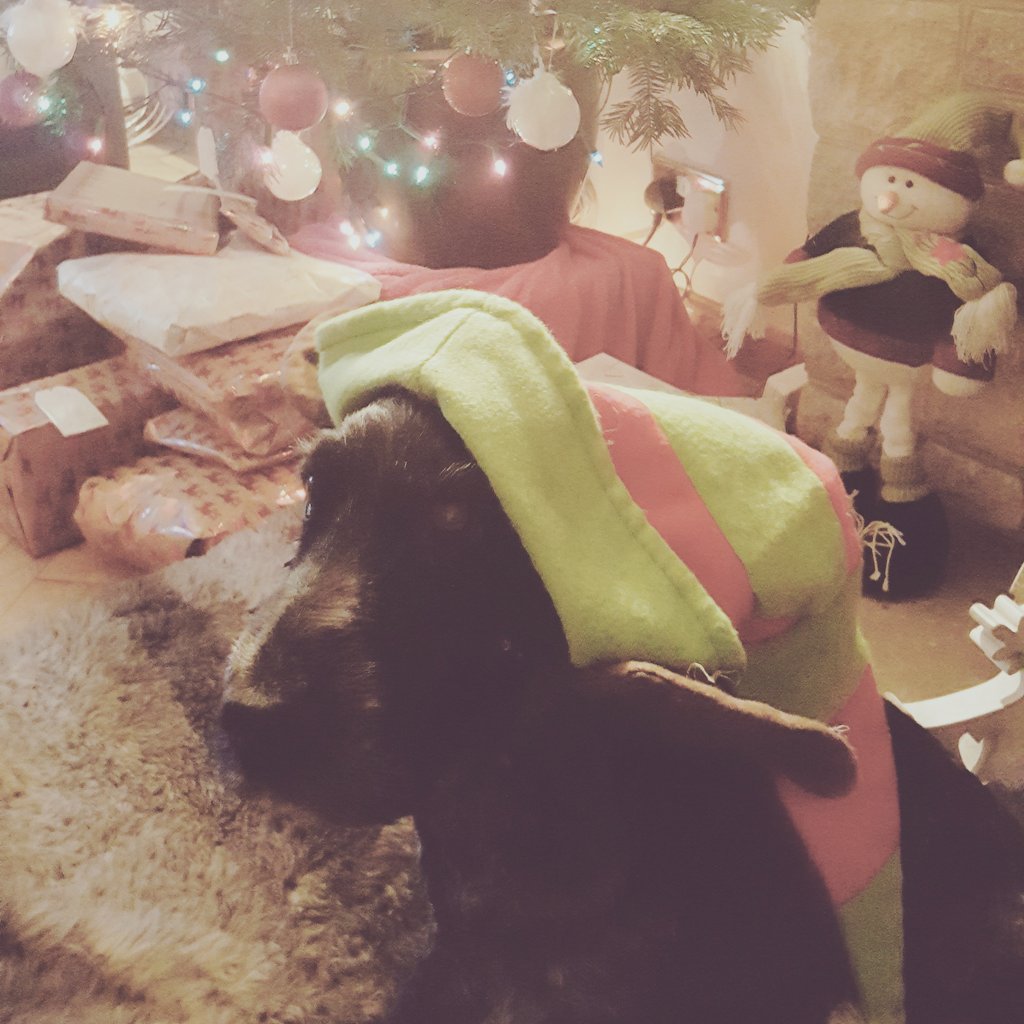 Join in our festive fun. Post your poochy xmas photo for a chance to win a FREE Soggy Doggy Shammy ! <a href="/SouthGlosExpo/">South Glos Expo</a> <a href="/pet_puppys/">pet puppys</a> <a href="/LeShuttle/">LeShuttle</a> <a href="/StaffyPetShop/">StaffyPetShop</a> <a href="/DogsTrust/">Dogs Trust 💛🐶</a> <a href="/PaulOGrady_FC/">Paul O'Grady FanClub</a> <a href="/DogsTrust/">Dogs Trust 💛🐶</a> @MuddyPawsMotel <a href="/DPH_Chelsea/">D Pet Hotels-Chelsea</a>