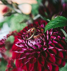 PengersickEvent's tweet photo. Are you looking for a unique venue in which to hold your #handfasting ceremony? We 
would be delighted to assist you with your plans and can put you in touch with our recommended Celebrants @CelebrantsInfo https://t.co/e0eiDfGrsb #weddinghour https://t.co/SYoDvXKlWT