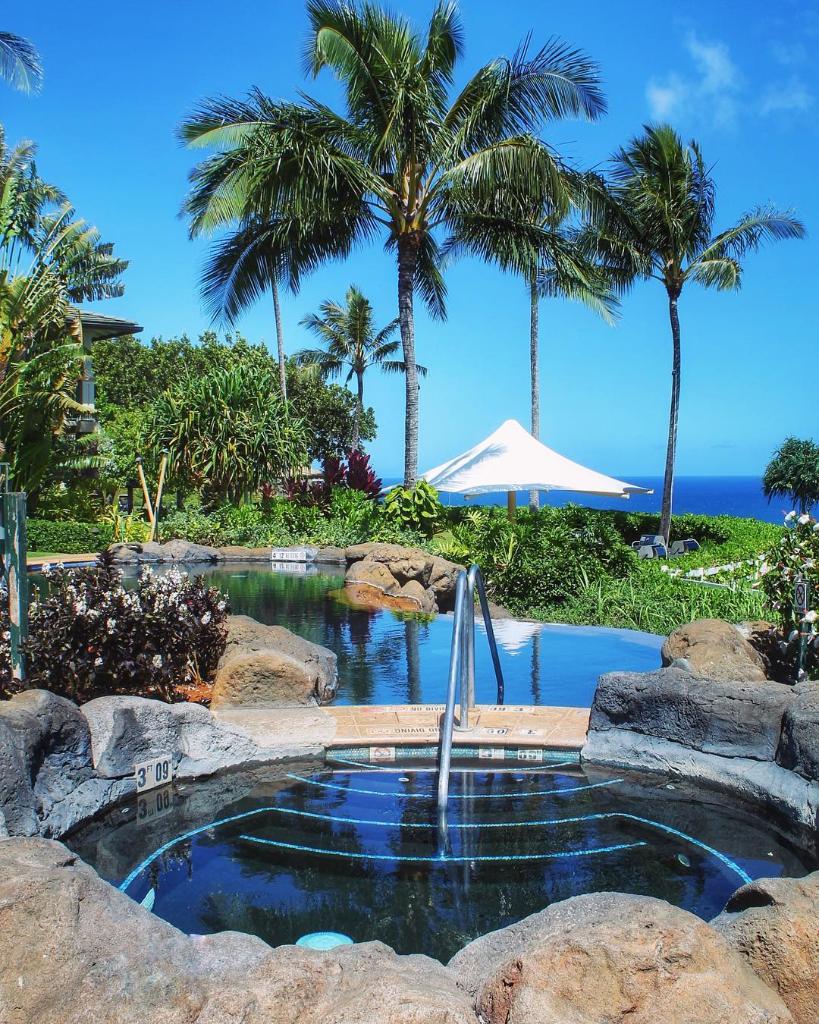 WestinPOR's tweet photo. Happy #WellnessWednesday!
🌴 KAMA’AINA 🌴 Treat yourself to a relaxing #staycation before the holiday rush. Enjoy special discounted rates on a two-night stay from December 22. Call 808-827-8744 to book. 😎
#staycationlife #FeelWell #westinprinceville https://t.co/eaI7Q0tLPz
