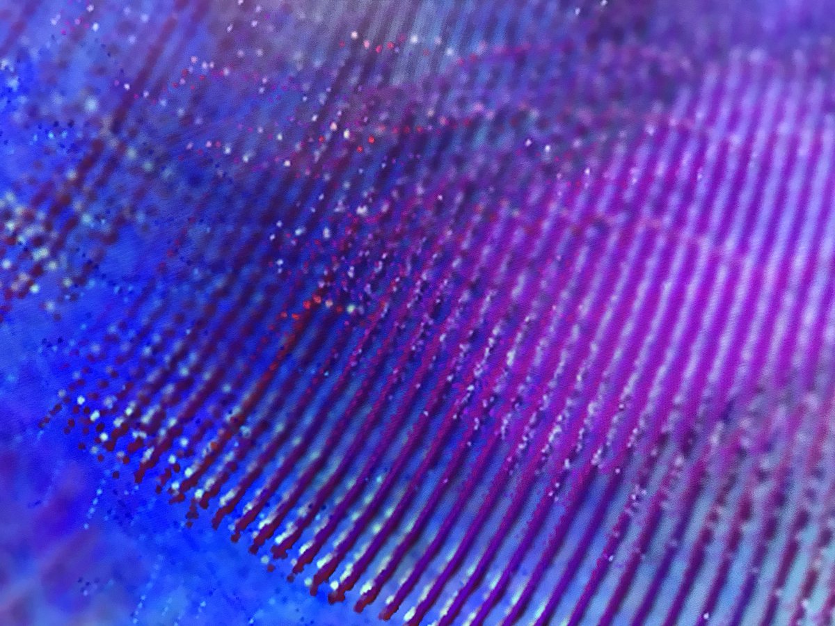 Anthony Head tweet media