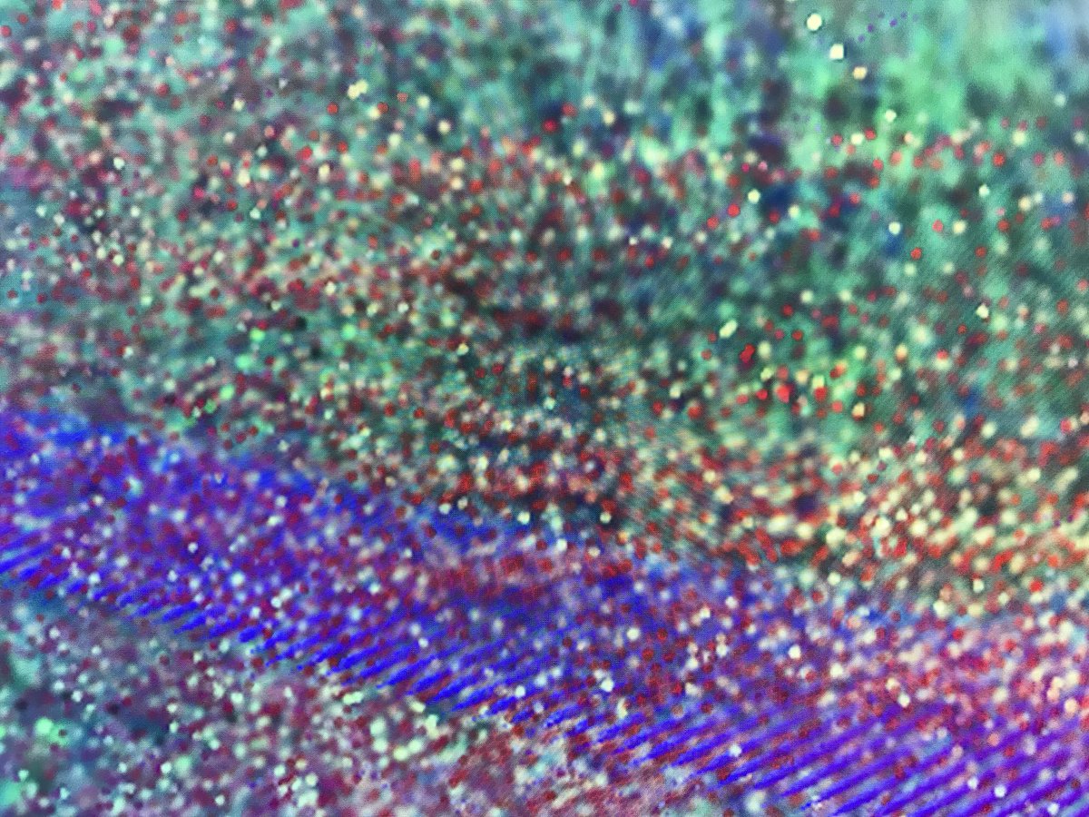 Anthony Head tweet media