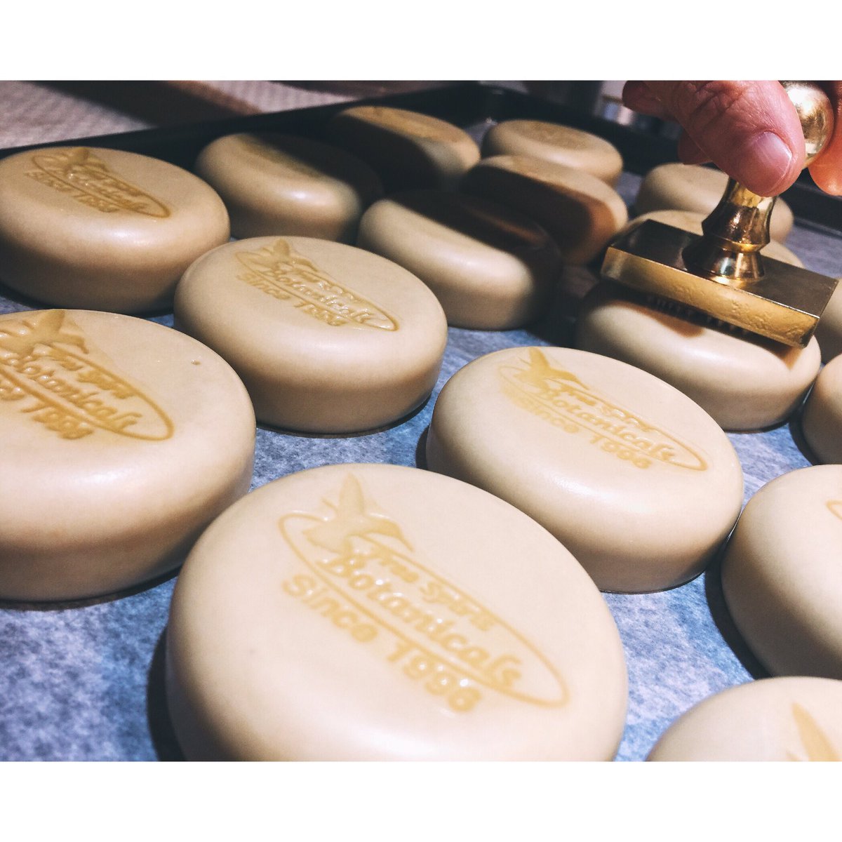 FSBotanicals's tweet image. Amazing sweet smell🌿🍰, our Vanilla cocoa butter body butter have been stapled with "Free Spirit Botanicals"! Cocoa butter, shea butter, olive oil, 100% natural vanilla extract.