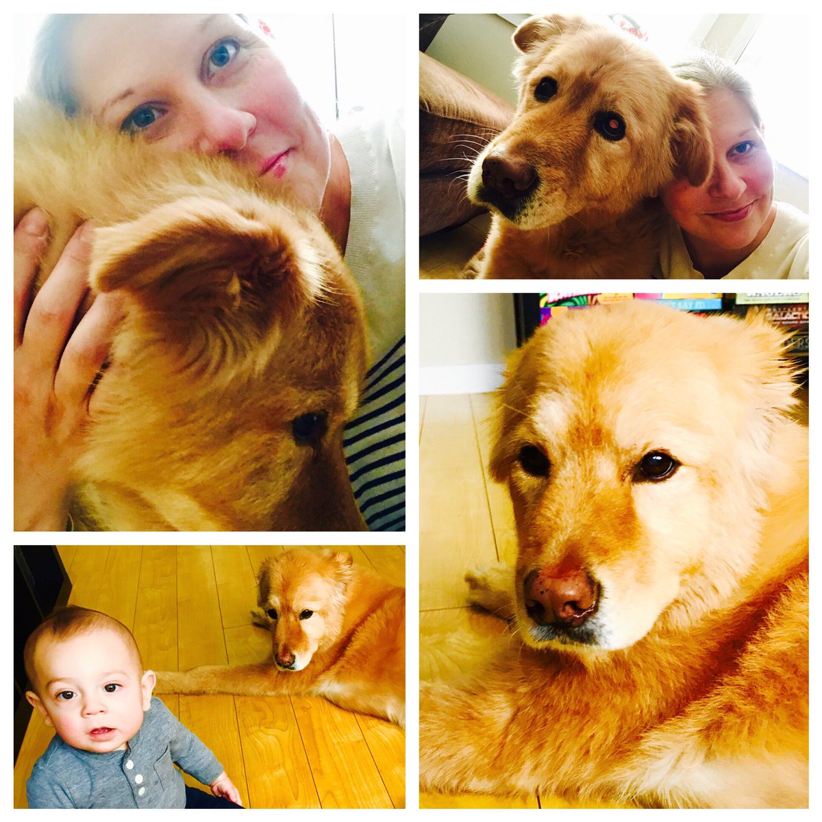 This beauty turned 12 on 12/12. #bestgirl