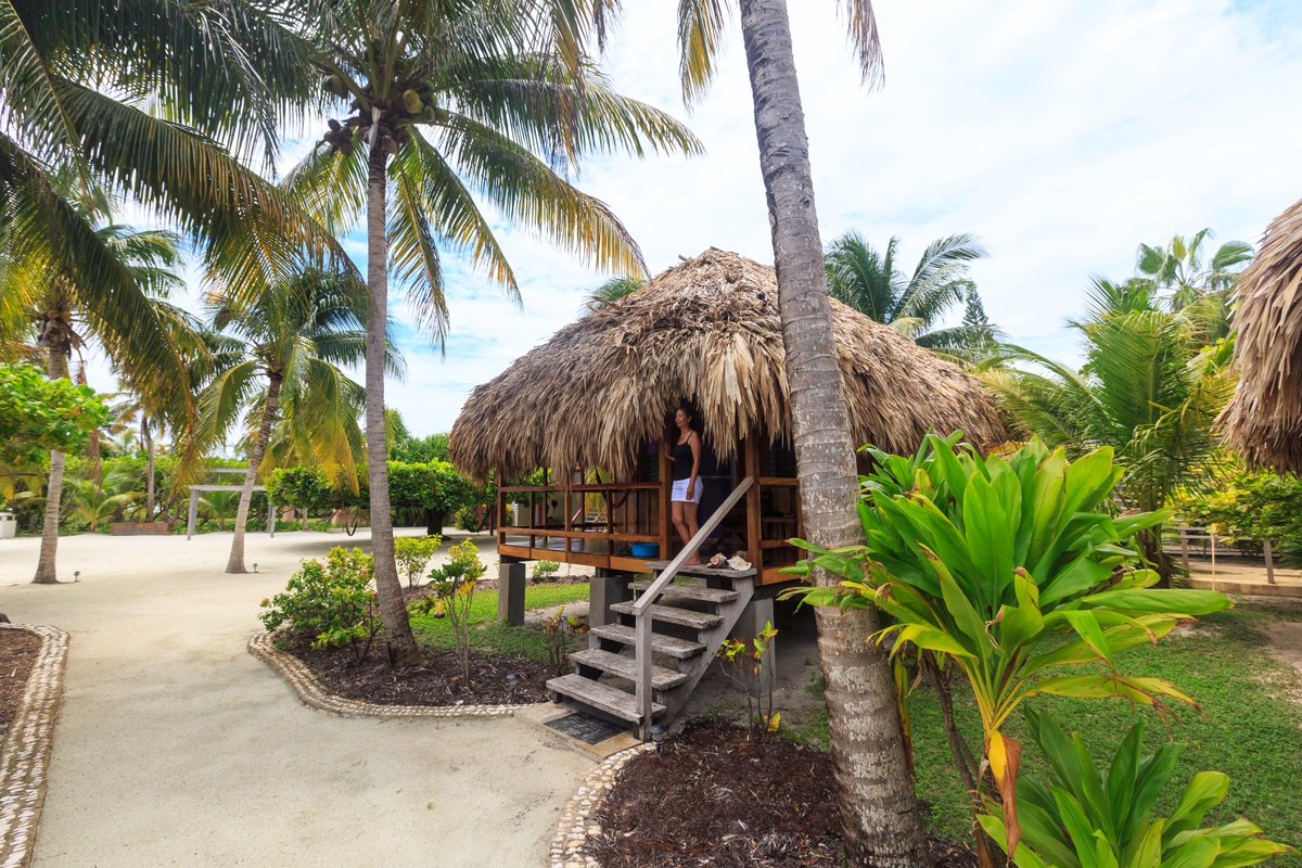 Belize_Resort's tweet photo. There is still time to check out our donation package on the @SeaSaveTweet fundraising auction. https://t.co/2WjiyxpaN7 #SeaSaveFoundation
#BidSupportDive
#SeaSaveAuction2017 https://t.co/kBTteRRYs1