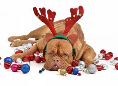 DoughAndBrew's tweet image. When Christmas is over &amp;amp; the Boxing Day Sales are done...we’re there for you with games &amp;amp; headphones for the kids and beer &amp;amp; wine for you! 

doughandbrew.com/reservations 

#ComeAndSayHello