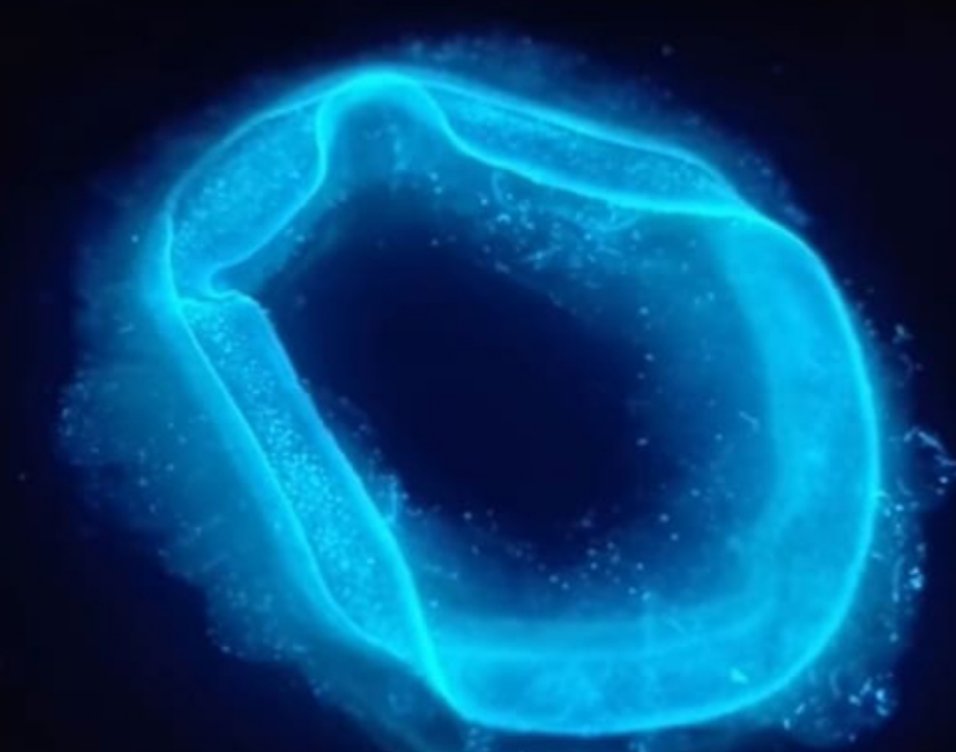 mitosis3d's tweet photo. Flink, la impresión 3D de bacterias vivas en la industria. https://t.co/9Hjy0omDkv https://t.co/0SOlX05kyJ