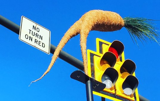 OBCDC's tweet photo. Say "hello" to our little friends -- the Pearl Road #RootRiders! Learn more about the art installation, artist, and history behind them at https://t.co/trNcyfQj86. 🥕✨ https://t.co/olRN97YcJ5