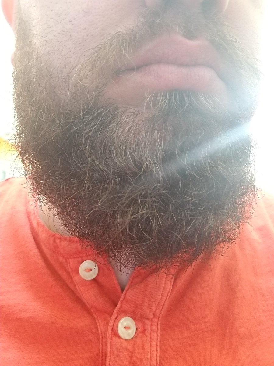 The beard bathed in light. 

#beard #beardlife #beardgang #bearded #beardgame #Beardsman #beardsofinstagram #beardandtattoos