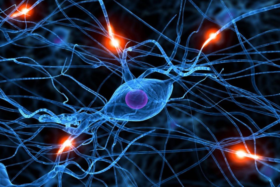 Pinchforthx's tweet image. RT @WorkboardInc: #Workboard's #SeriesA announcement was featured in @thetechstartups's top 10 #tech #startups news stories of the day! ow.ly/Aipj30hdeaC #ActiveStrategy