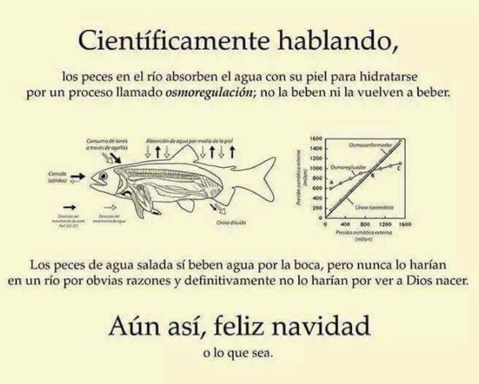 Dios_Colombia's tweet photo. Saludo Navideño. https://t.co/pGlVhwsqjR