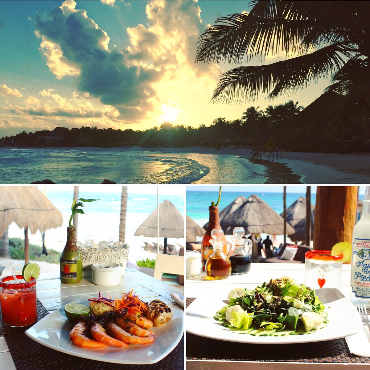 TulumFood's tweet image. Alma Tulum 🏝
Always worth it, the beach is incredible ! 👌🏻
Link TulumFood Website: tulumfood.com/restaurants/al…