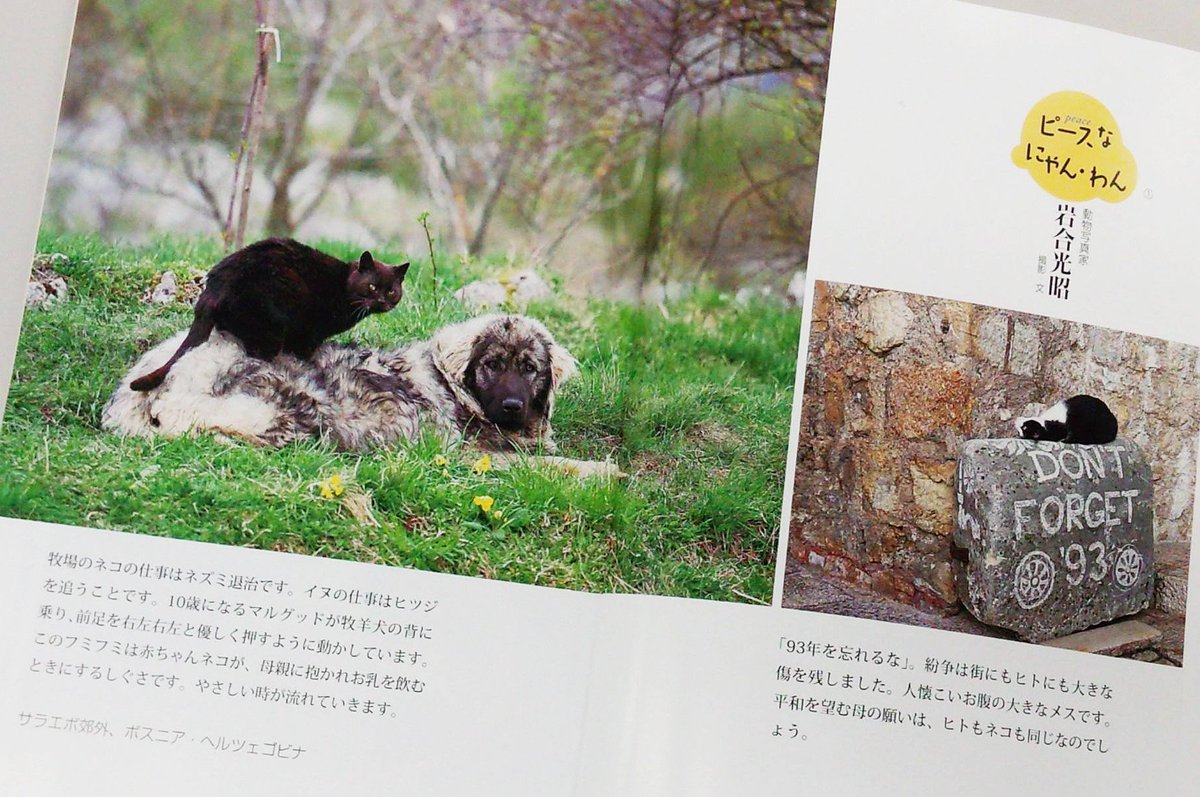 猫の民俗学 | 猫本専門書店 書肆 吾輩堂