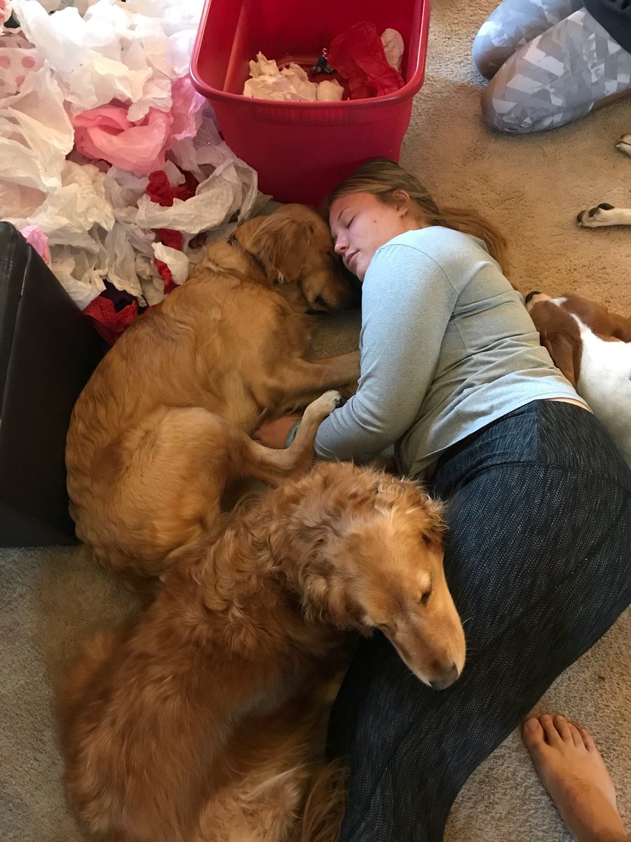 rbrown2richmond's tweet photo. Hurry home, @maddiesam1 ! #TwoPups https://t.co/VKIFD6hiLJ