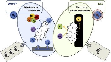 WaterRes_J's tweet photo. Microbial electricity driven anoxic ammonium removal https://t.co/DGyZn9AwJo https://t.co/UOjIrSn9yr