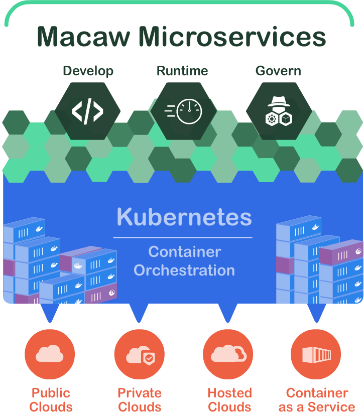 Macaw Software tweet media