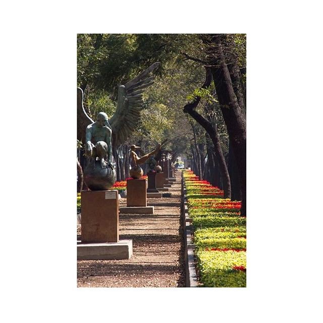 Funera_Concept's tweet image. Reposting @beeeeeeerr_: - via @Crowdfire 
México 🇲🇽 #nature #sky  #sun #summer #beacht #beatiful #pretty #sunset #sunrise #blue #flowers