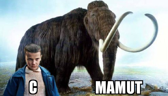 Rubiusbestia's tweet photo. @GermanGarmendia @Fernanfloo  https://t.co/6GiCm9GbsI