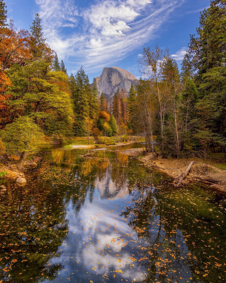 осенний листопад фото. осенний парк. Perfect fall. осенний листопад. бирмингем природа.
