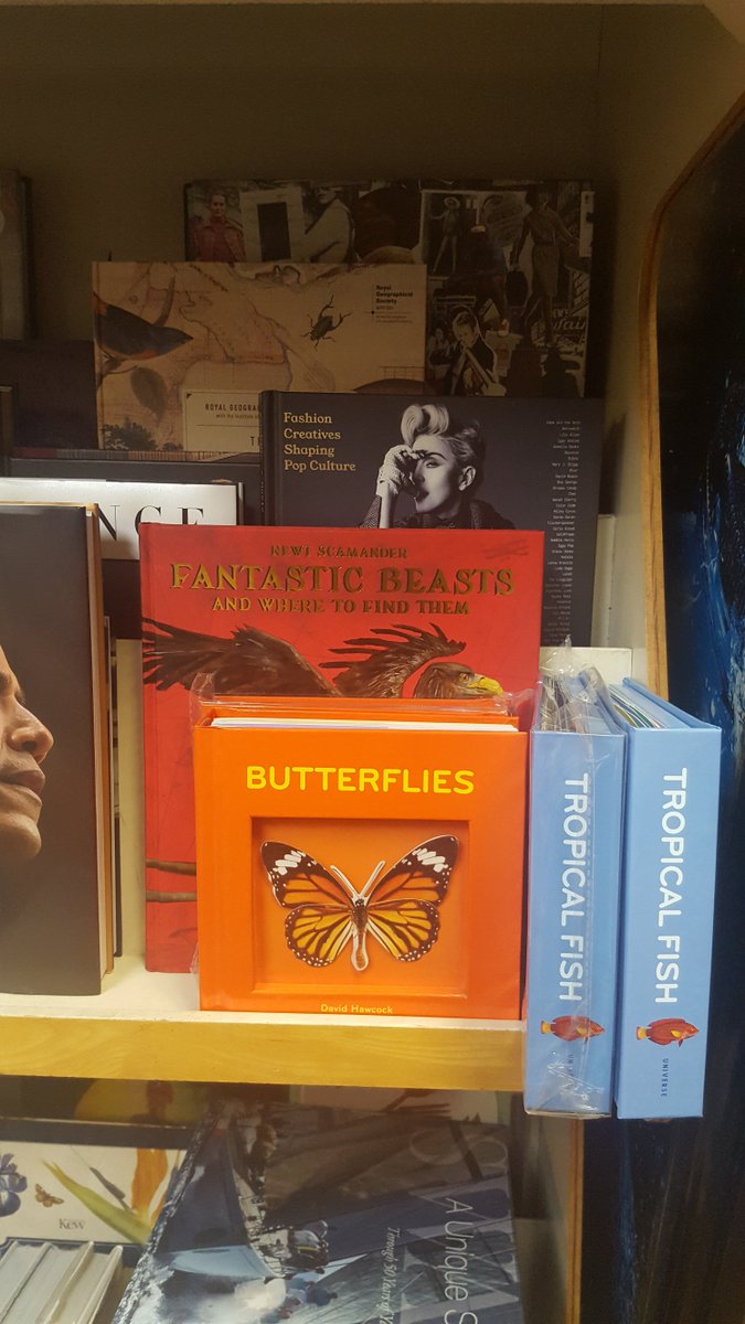 Bermuda Bookstore tweet media