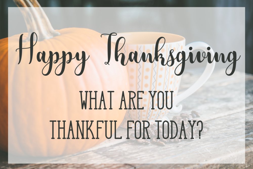 Happy Thanksgiving! twib.in/l/E5K8nnq56oR5