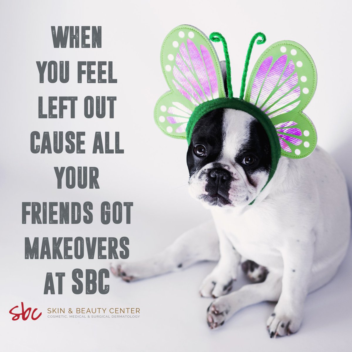 SBC_Derm's tweet photo. Truth...Get your Holiday makeover in time for the holidays at SBC! #SBCDERM #makeover #dog #memes #friyay #TGIF https://t.co/A55FJKuD7C