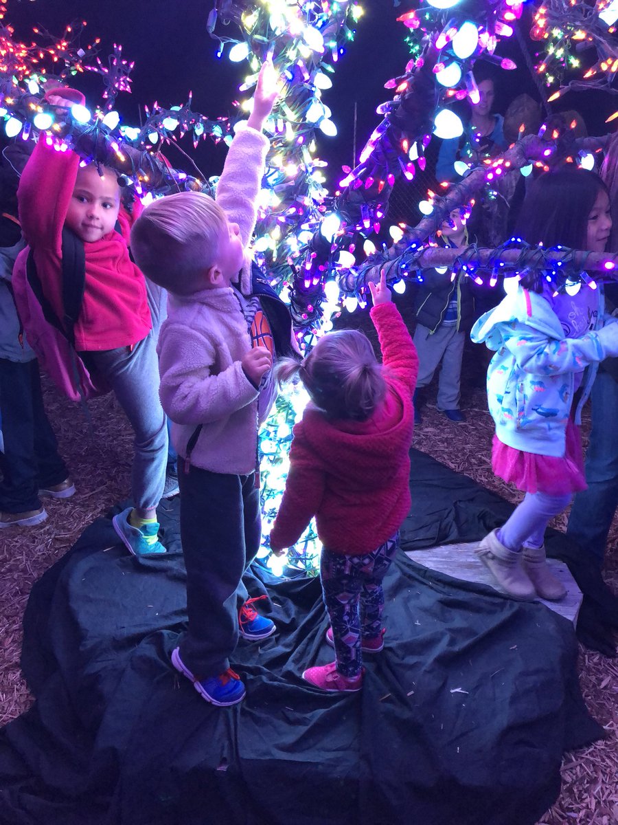 BrittonBuilding's tweet photo. #LSMagicTree https://t.co/WyrEXcRsKS