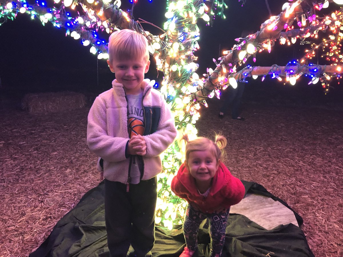 BrittonBuilding's tweet photo. #LSMagicTree https://t.co/WyrEXcRsKS