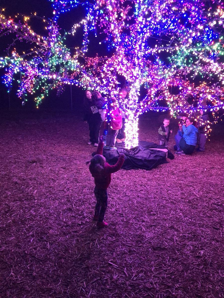 BrittonBuilding's tweet photo. #LSMagicTree https://t.co/WyrEXcRsKS