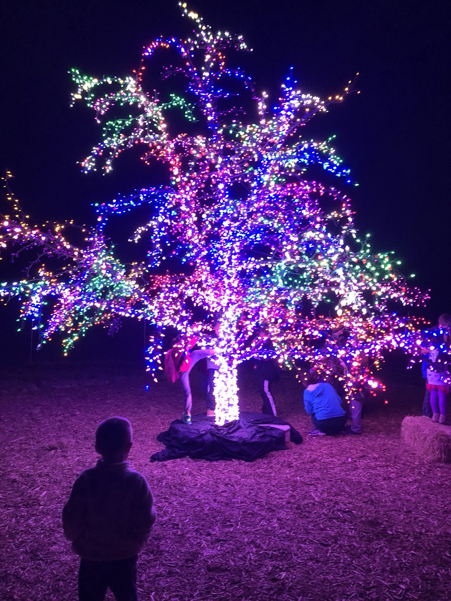 BrittonBuilding's tweet photo. #LSMagicTree https://t.co/WyrEXcRsKS