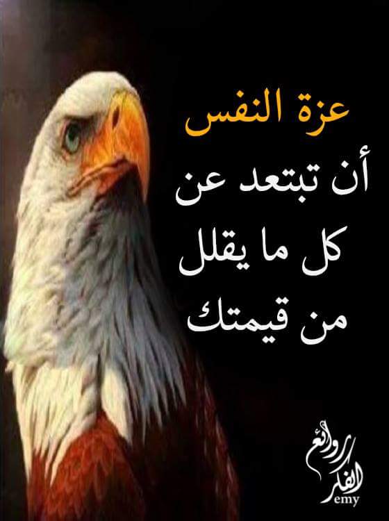 صورة ذات صلة