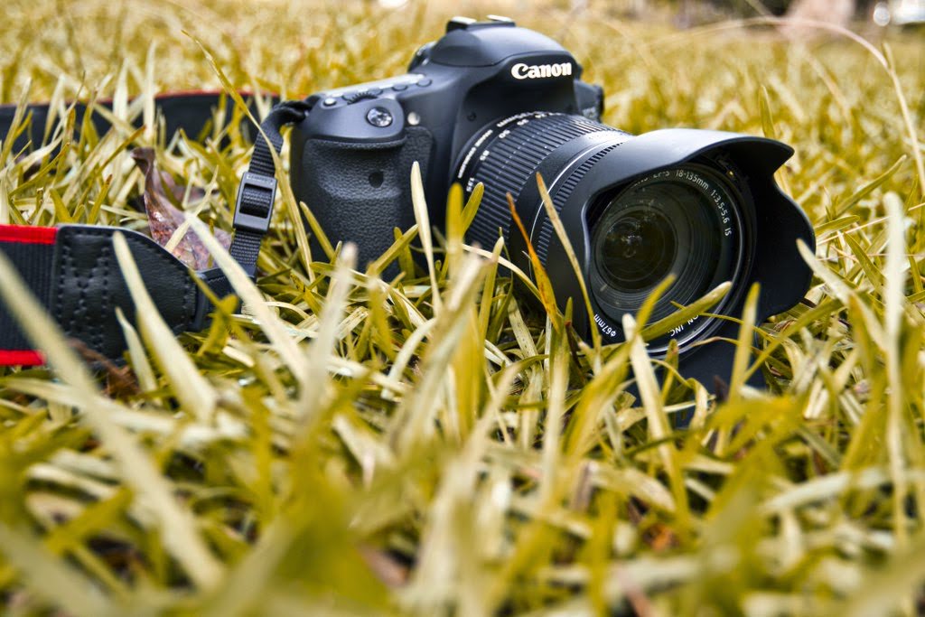 Sean Mooney On Twitter Teknik Dasar Fotografi Kamera Dslr Https T Co Kyzghngwph