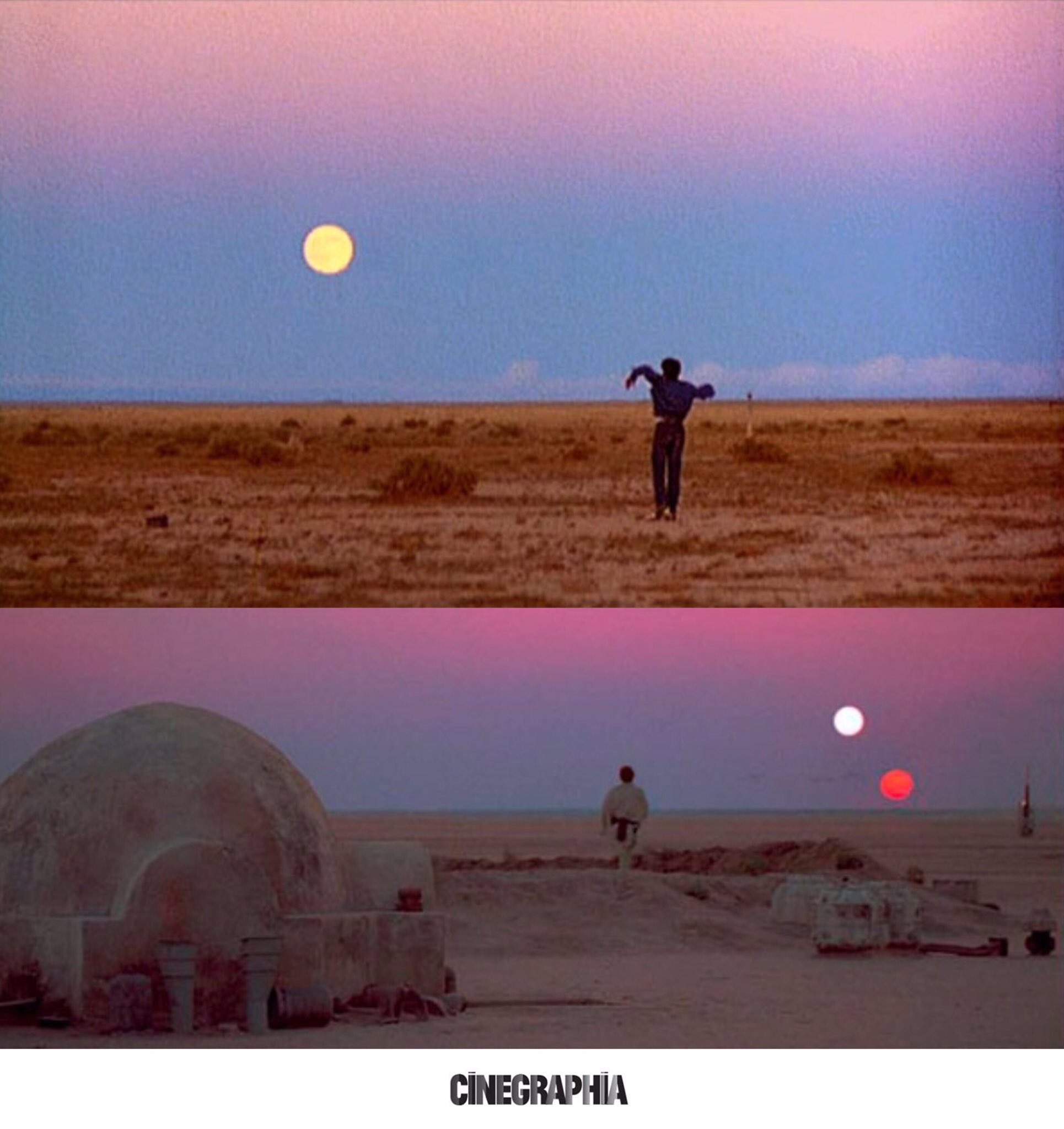  ft. Happy Birthday, // ¡Feliz cumpleaños, Terrence Malick! 