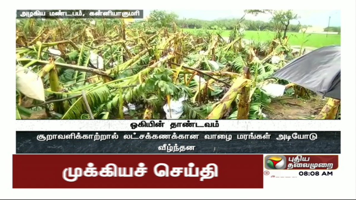PttvNewsX's tweet photo. ஒகி புயலின் தாக்கம்: கன்னியாகுமரி அழகியமண்டபம் பகுதியில் நெல், வாழை, தென்னை அடியோடு சேதம் #OckhiCyclone #Kanyakumari #PTControlRoom https://t.co/ojMTIw5gSv