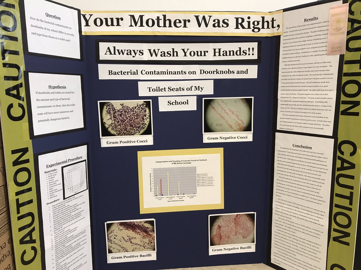 Schechter_Sci's tweet image. Science Fair Projects from days gone by 🔬#ProjectsBasedLearning #ScienceFair #Experiments Shocking insights ✋🏻😱 #AlumniLove 💙