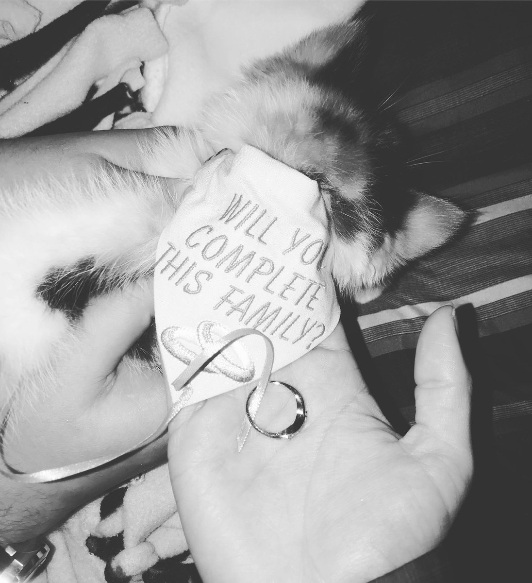 AprilBarnes16's tweet photo. After being together for almost 4 years he finally popped the question! We grew up together and now we get to grow old together ❤️ https://t.co/9WW05ORXNd