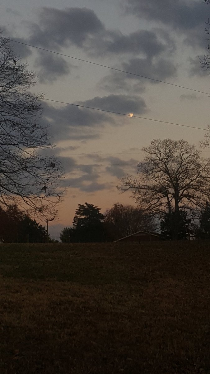 This_IsOurStory's tweet photo. Can't wait for this view every night! #futurehomestead https://t.co/qog4ka8zHB