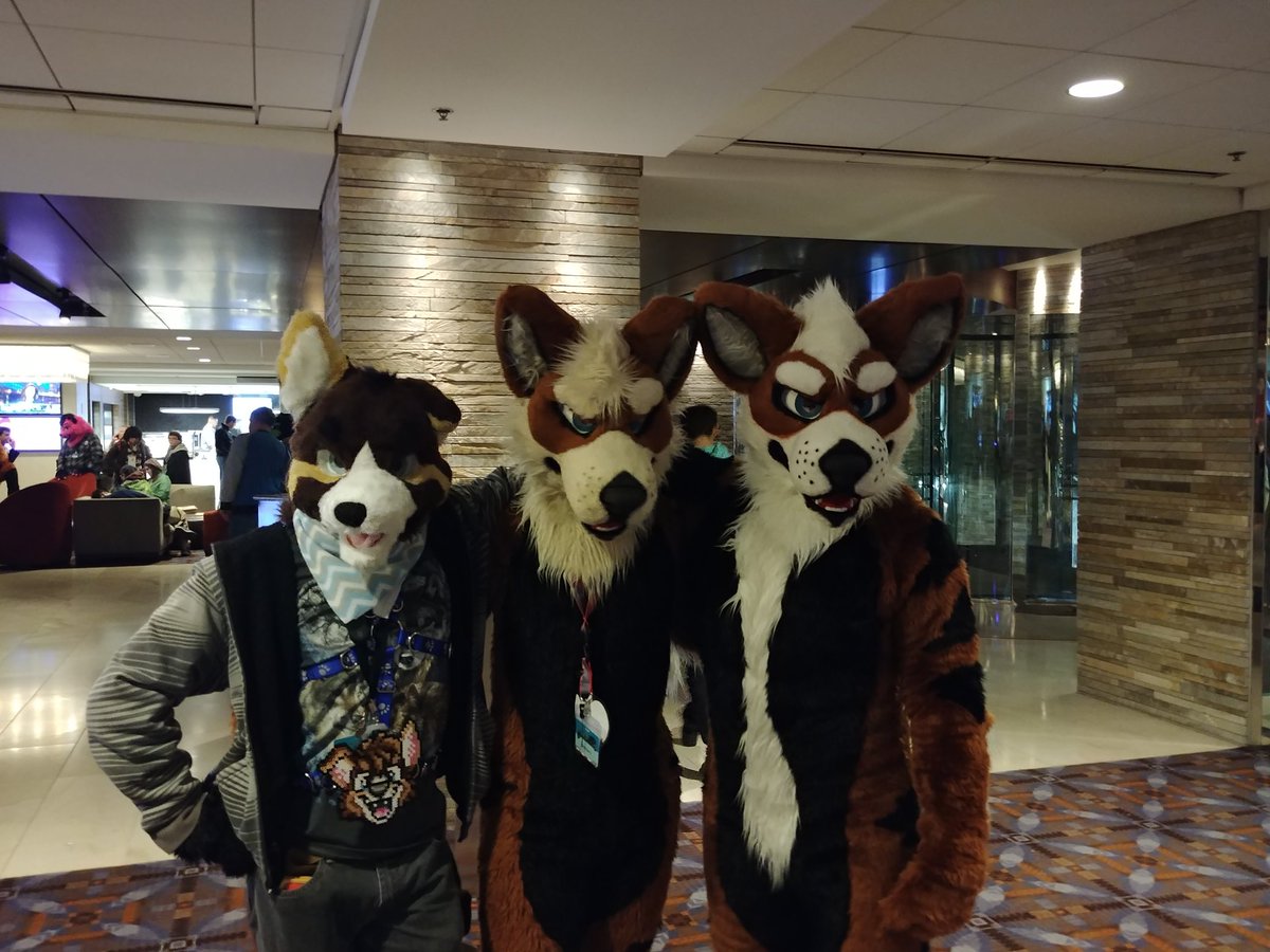 ABitOfRetroK9's tweet photo. Happy #fursuitFriday everyone! Hope you're all having a great day!

Some shots of me at #MFF
((Don't know the #arcanines nor do I know #skullkid)) https://t.co/pW8HIj9qpS