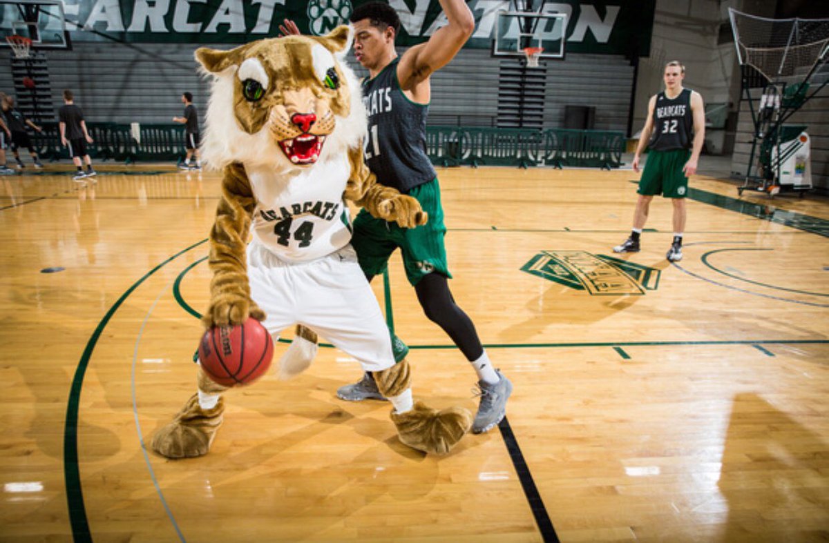 BobbytheBearcat's tweet image. LETS BASKETBALL!!!! WOOooOooO @NWbball!! I CANT wait to come back &amp;amp; hang with u guys. I got moves, aint that right @Xav11Baby? #FlashbackFri