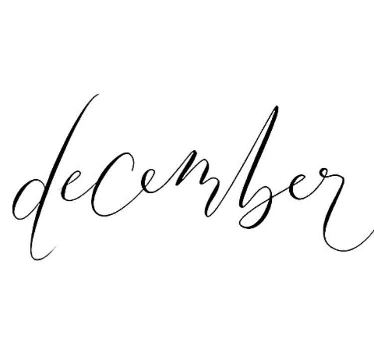 SavvyColorSalon's tweet photo. Chapter 12 

#SavvyColor #savvyColorSalon #letstalktuesday #Day1 #december https://t.co/deHar7BgzR