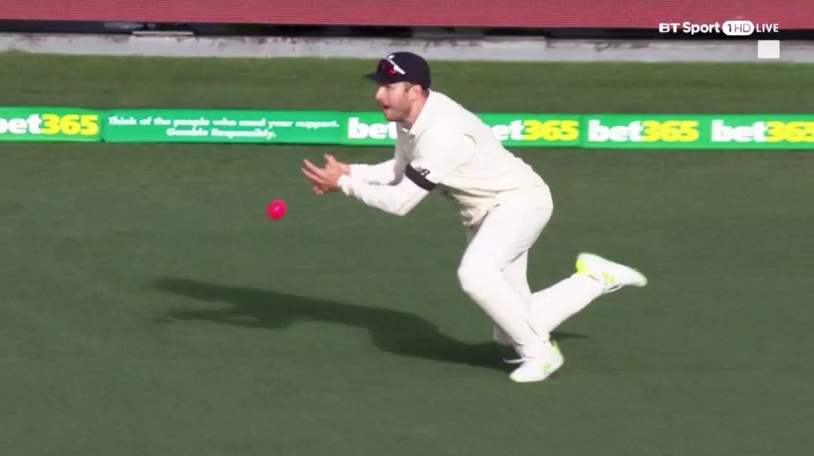 Mark Stoneman doing his best to make sure the England cricket team are on top form and won't be humiliated and embarrassed by the Aussies #Ashes
