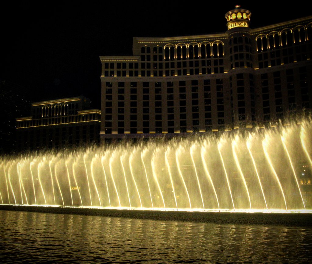 TravelSpired's tweet photo. Just the lights I love 😍 #Bellagio #Vegas #Travelspired https://t.co/WVGF1CwL8D