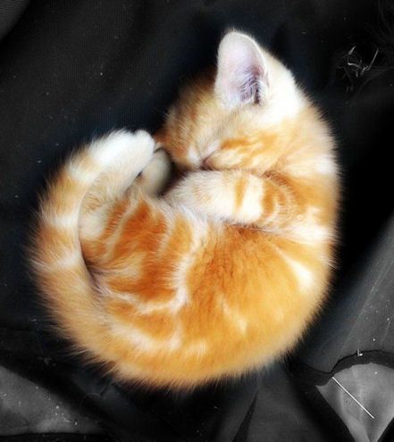 CZGoldEdition's tweet photo. Hey, hey. You. You're incredible, don't give up. Just rest and resume the fight tomorrow. https://t.co/oqflGoH2yM