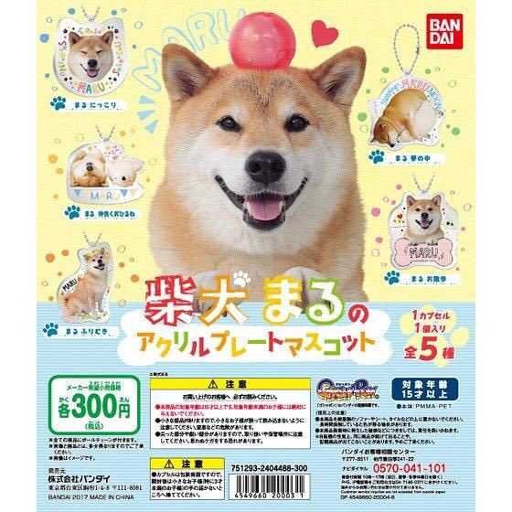 公式 バンダイ ガシャポン 世界一有名な柴犬 まる のアクリルプレートマスコットが全国のガシャポン自販機で順次発売開始 ガシャポン撮り下ろしの ここでしか見られない まる が盛りだくさんのラインナップです 柴犬まる T Co 公式 バンダイ ガシャポン 世界一有名な柴犬 まる のアクリルプレートマスコットが全国のガシャポン自販機で順次発売開始 ガシャポン撮り下ろしの ここでしか見られない まる が盛りだくさんのラインナップです 柴犬まる T Co