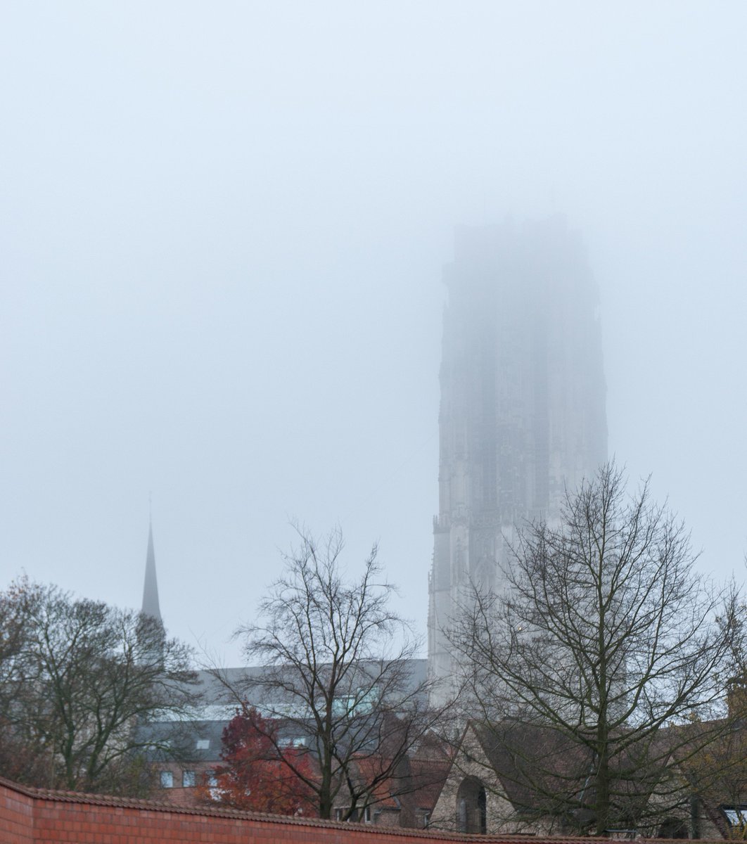 smets_soren's tweet photo. Mechelen, 2-12-2017 - 8u 50
 #vrtweer https://t.co/vrh5Z1PUuA